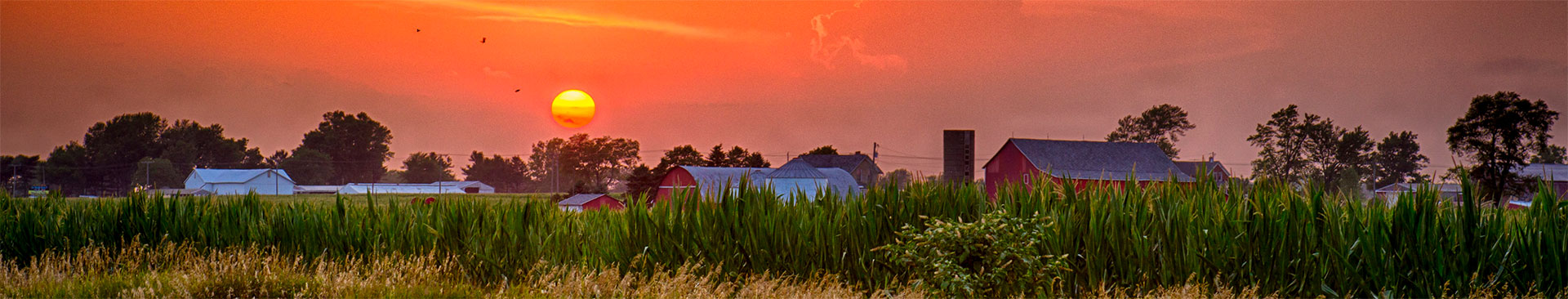 nappanee-sunset-bkgd