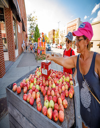 Nappanee Apple Festival